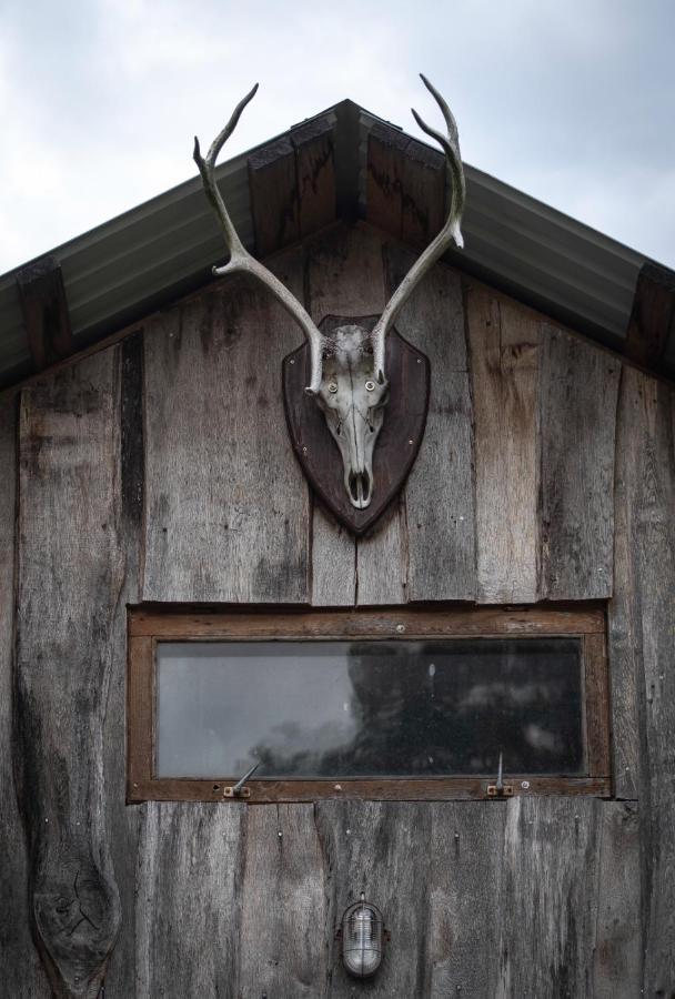Glamping Fluffy Horns - Glempings Pukainie Ragi Hotel Plienciems Exterior photo
